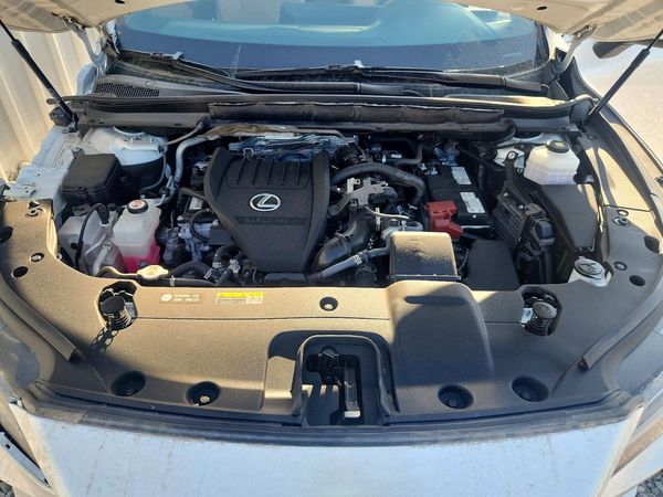 2023 LEXUS RX 350