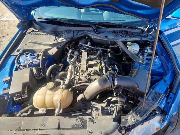 2021 FORD MUSTANG I4 Convertible