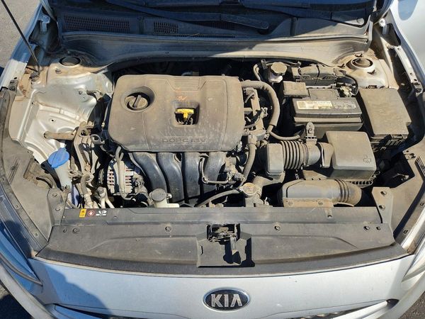 2019 KIA FORTE FE/LX/LXS