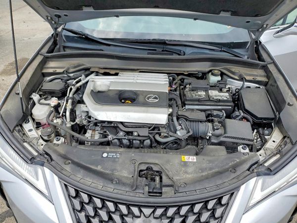 2020 LEXUS UX