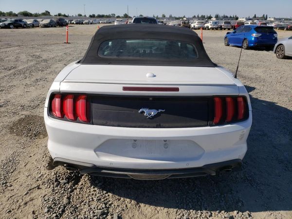 2019 FORD MUSTANG