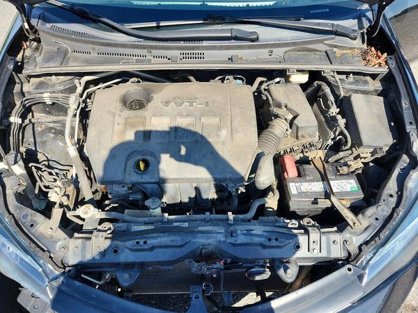 2019 TOYOTA COROLLA L/LE/SE/XLE/XSE