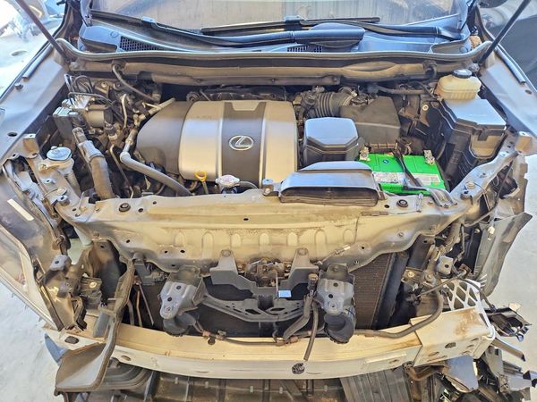 2019 LEXUS RX 350 Standard