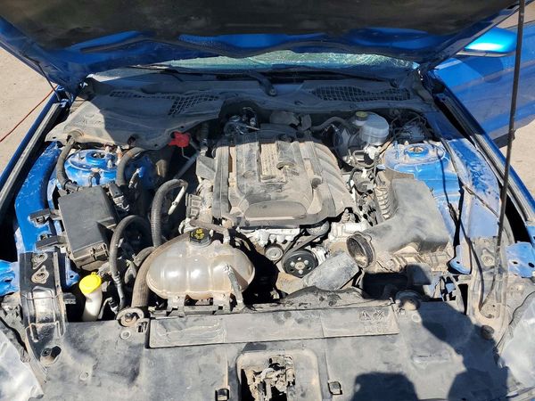 2019 FORD MUSTANG
