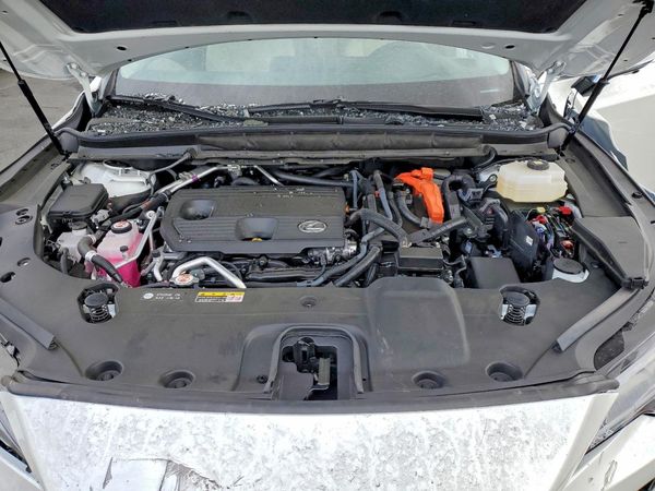 2025 LEXUS RX330 450h+