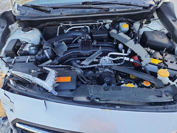 2019 SUBARU CROSSTREK Limited+ES+BSD