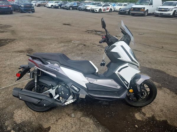 2024 GENUINE SCOOTER CO. SCOOTER