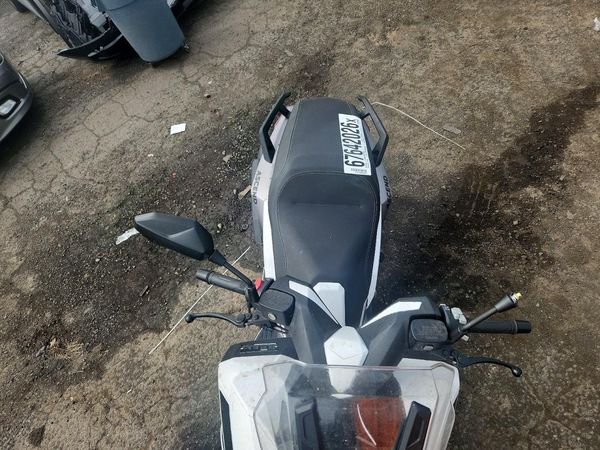 2024 GENUINE SCOOTER CO. SCOOTER