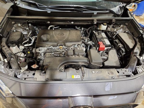 2025 TOYOTA RAV4