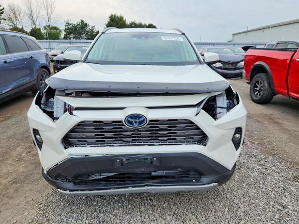 2019 TOYOTA RAV4
