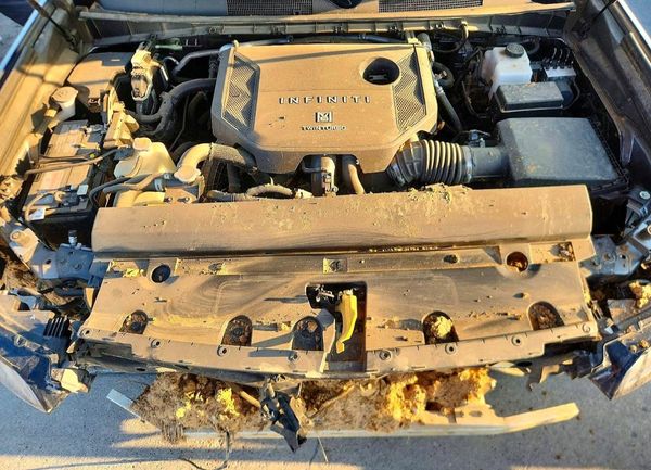 2025 INFINITI QX80 Sensory — Engine bay