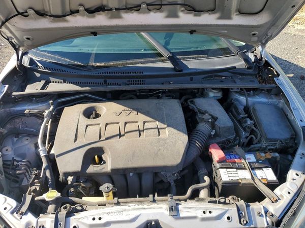 2024 TOYOTA COROLLA L/LE
