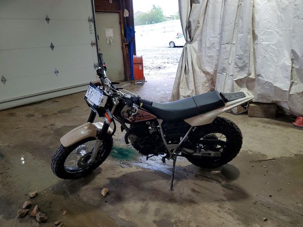 2020 YAMAHA TW200