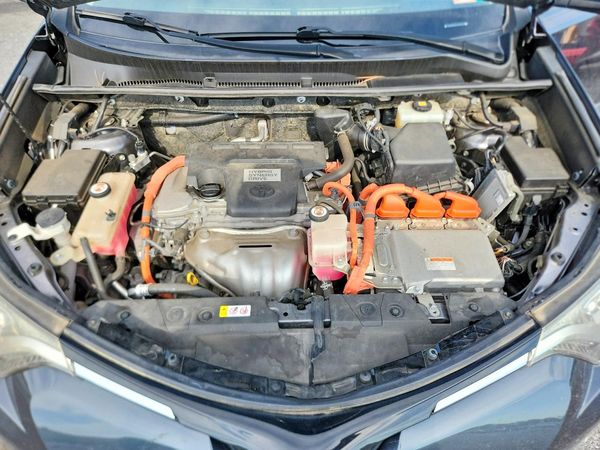 2018 TOYOTA RAV4 LE Plus/XLE