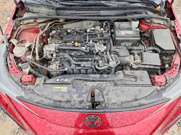 2024 TOYOTA COROLLA