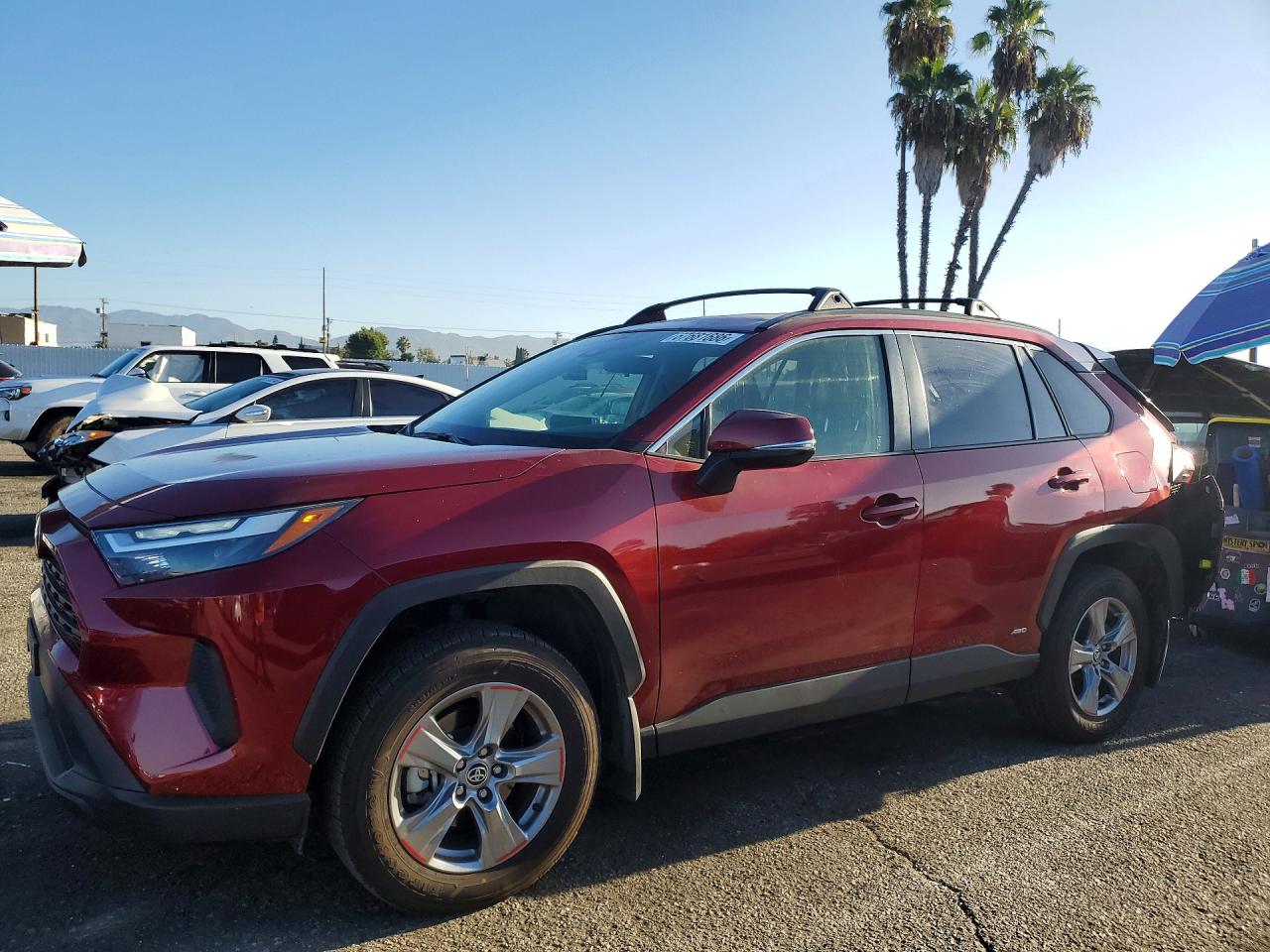 2025 TOYOTA RAV4