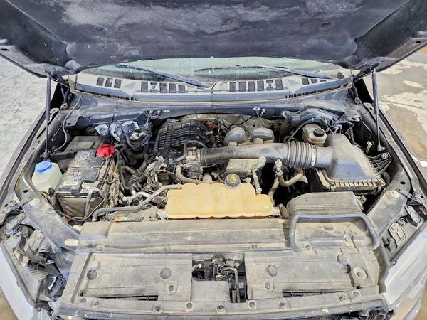 2019 FORD F150