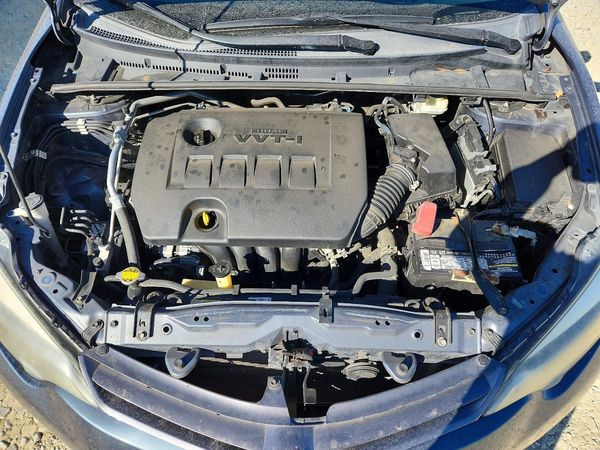 2015 TOYOTA COROLLA L/LE — Engine bay