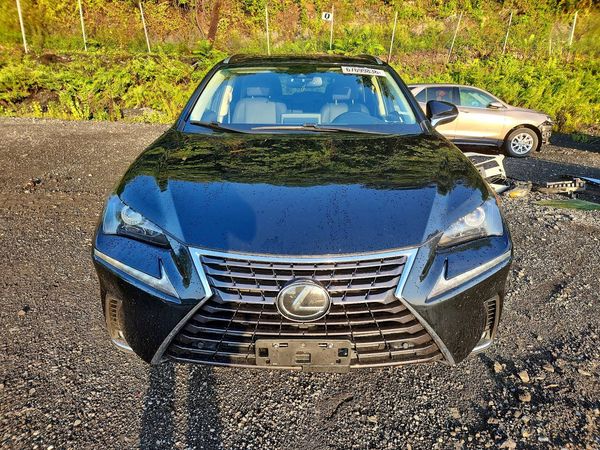 2020 LEXUS NX 300 Comfort