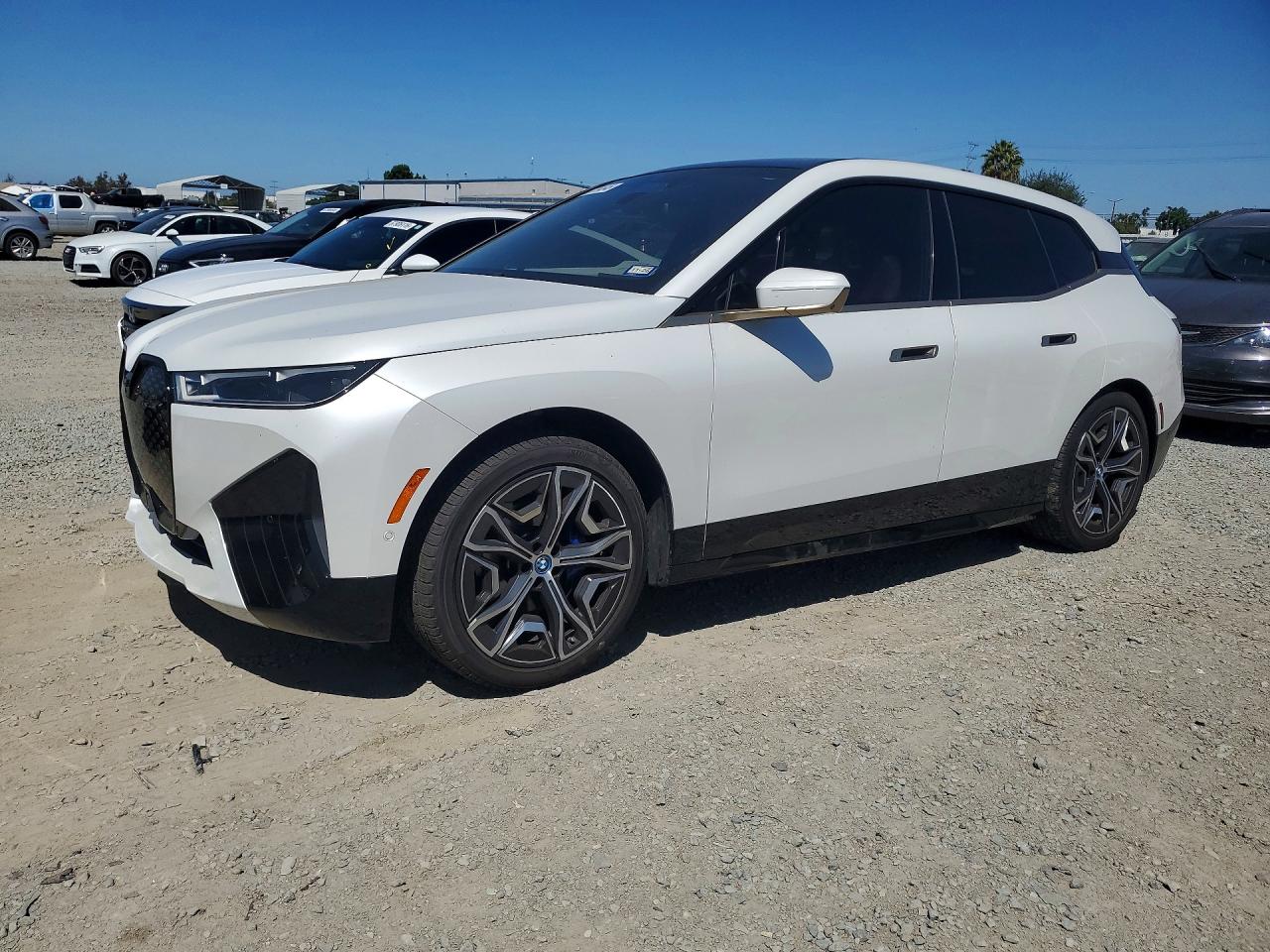 2023 BMW IX