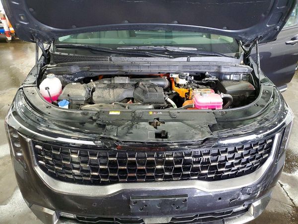 2026 KIA CARNIVAL HYBRID