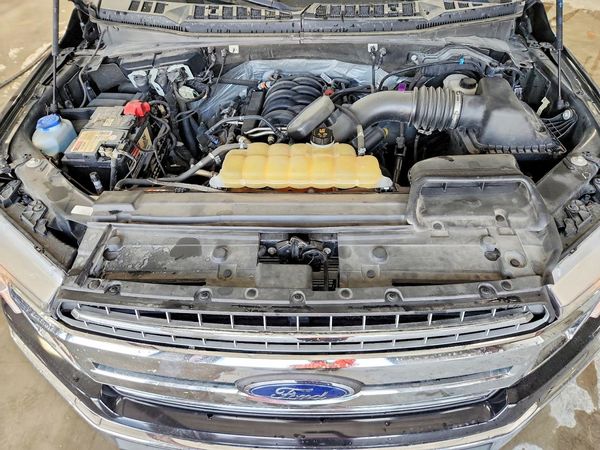 2019 FORD F150