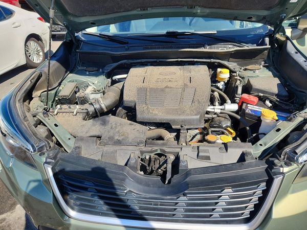 2019 SUBARU FORESTER Base P+ES
