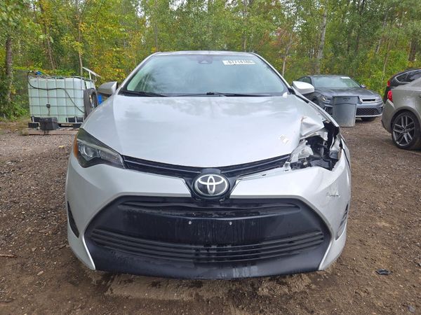 2019 TOYOTA COROLLA L/LE/SE/XLE/XSE — DIRF