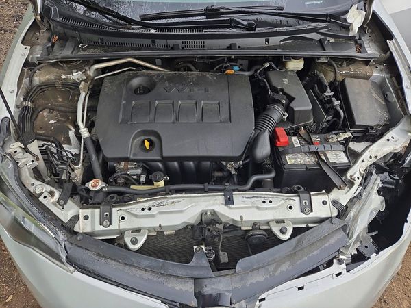 2019 TOYOTA COROLLA L/LE/SE/XLE/XSE — Engine bay