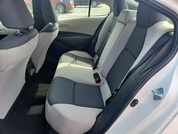2023 TOYOTA COROLLA
