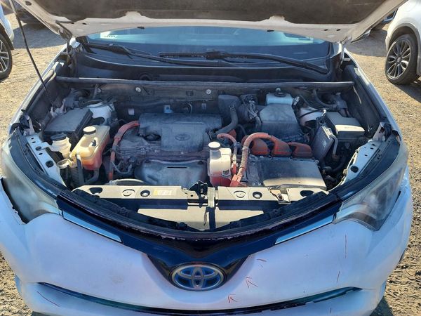 2018 TOYOTA RAV4 LE Plus/XLE