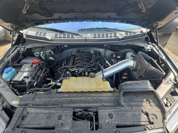 2019 FORD F150