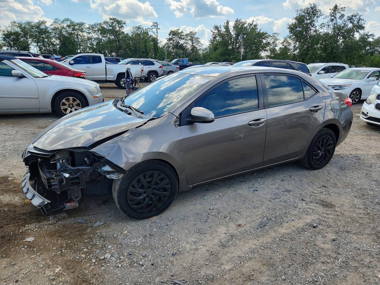 2019 TOYOTA COROLLA