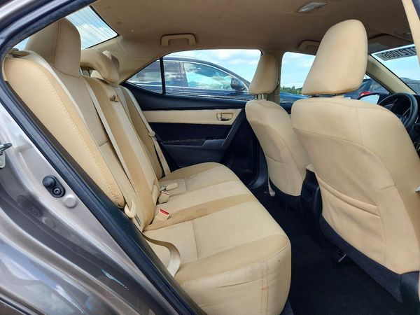 2019 TOYOTA COROLLA