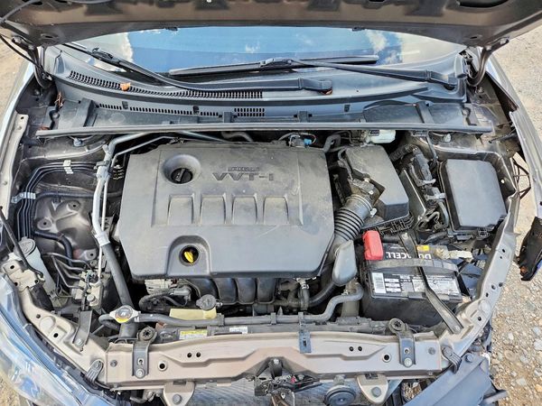 2019 TOYOTA COROLLA