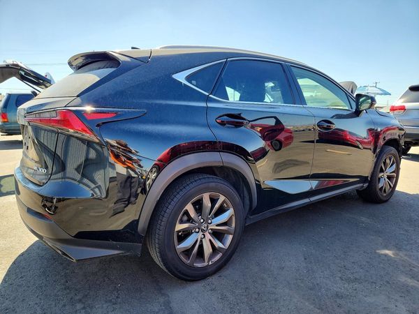 2019 LEXUS NX 300