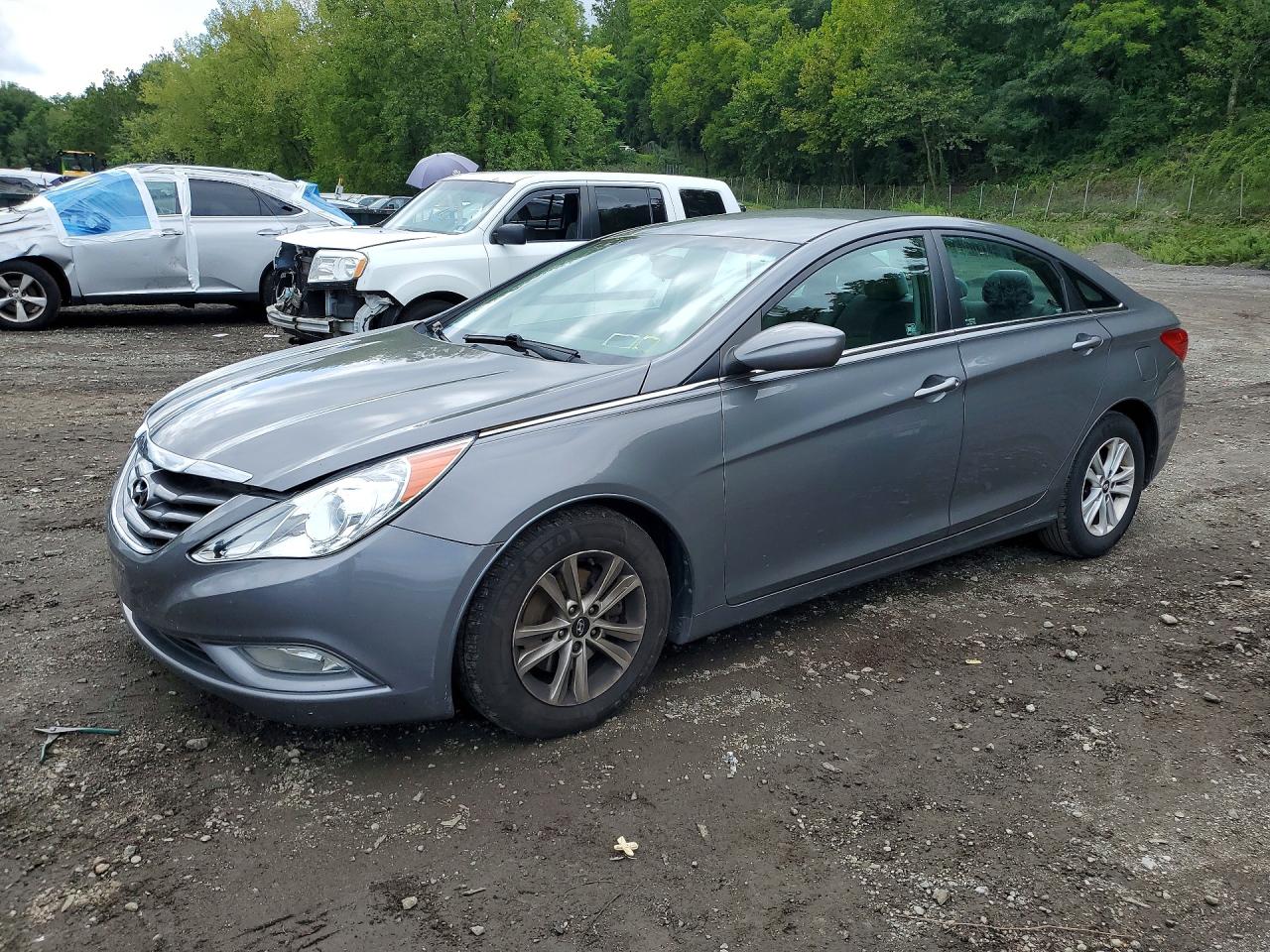 2013 HYUNDAI SONATA GLS/ GLS Popular