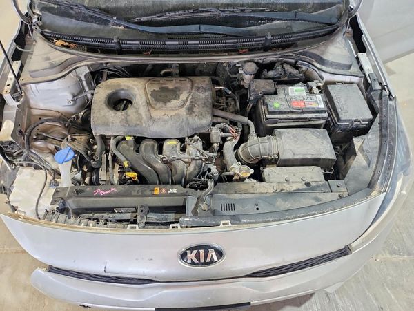 2019 KIA RIO