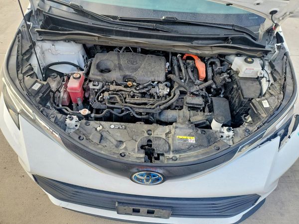 2023 TOYOTA SIENNA LE