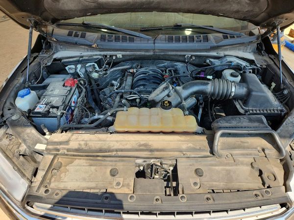 2019 FORD F150