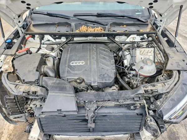 2021 AUDI Q5 quattro Premium Plus