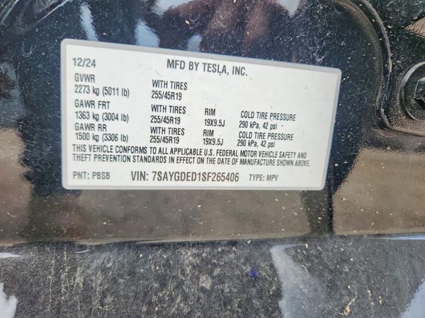 2025 TESLA MODEL Y