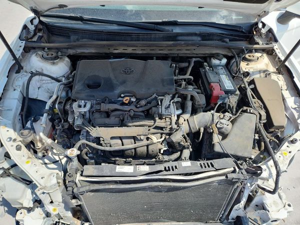 2019 TOYOTA CAMRY L/LE/SE/XLE