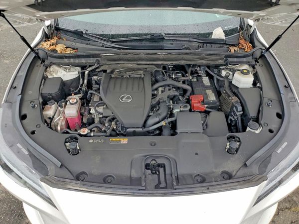 2023 LEXUS RX 350