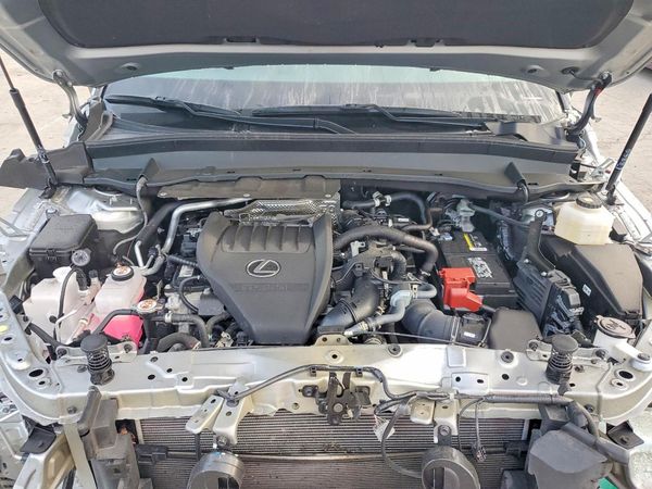 2024 LEXUS TX 350