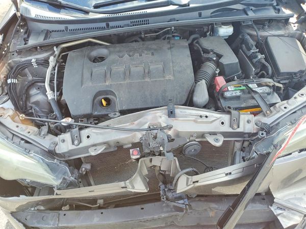 2019 TOYOTA COROLLA L/LE/SE/XLE/XSE