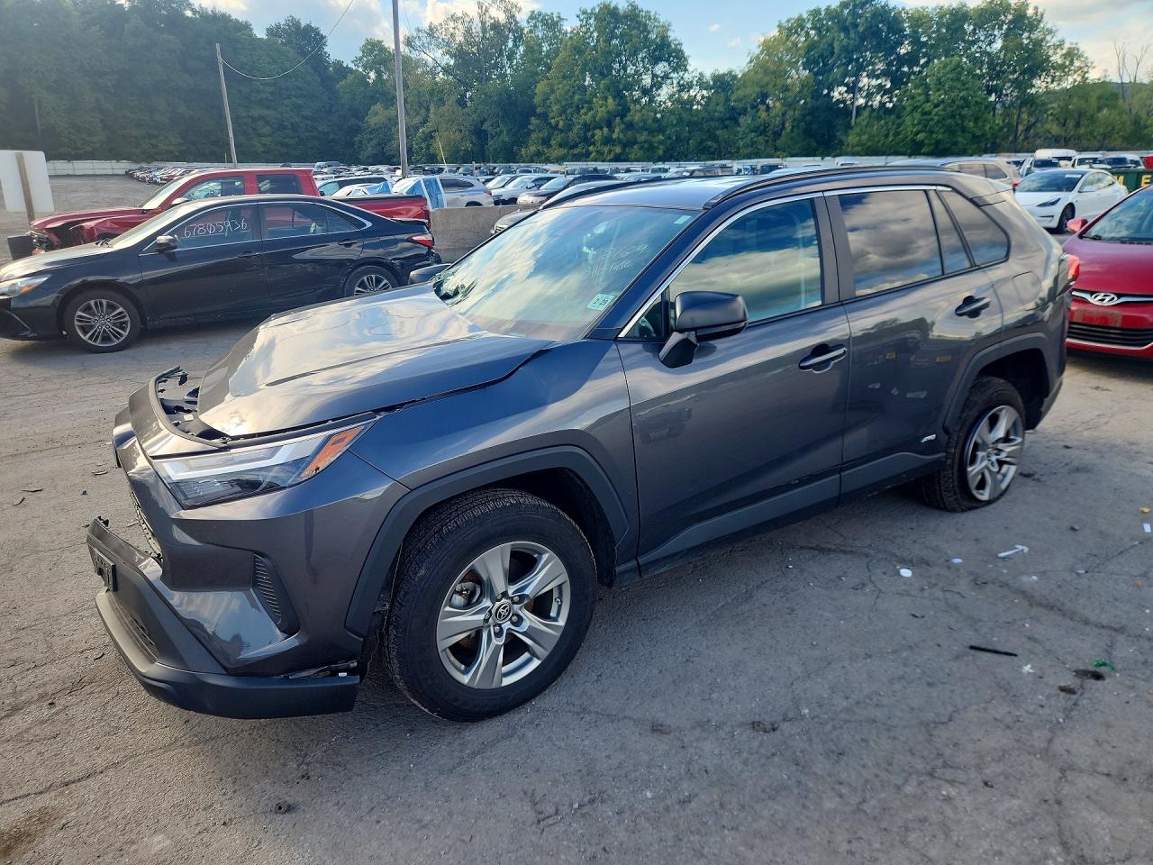 2024 TOYOTA RAV4
