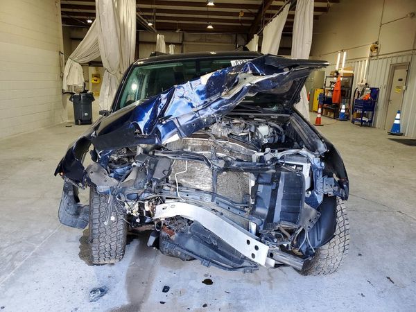 2019 TOYOTA 4RUNNER — DIRF