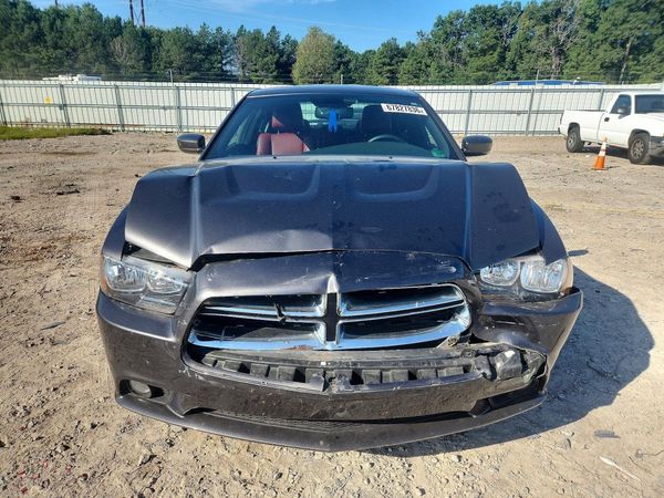 2013 DODGE CHARGER — DIRF