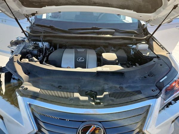 2019 LEXUS RX 350